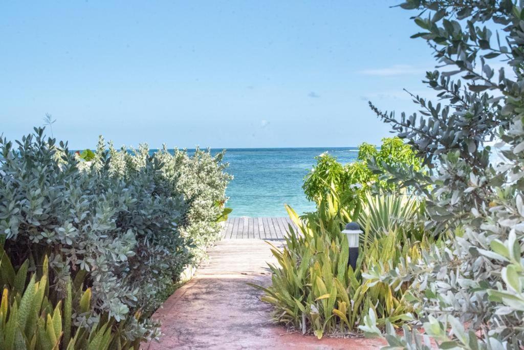 Pasha - Ocean View Apartment Sainte-Anne  Exterior photo
